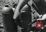 Image of Japanese weapons Guadalcanal Solomon Islands, 1944, second 4 stock footage video 65675066964