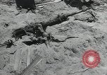 Image of Japanese weapons Guadalcanal Solomon Islands, 1944, second 39 stock footage video 65675066964
