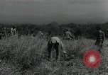 Standbild Vereinigten Staaten Marines Guadalcanal Salomonen, 1944, aus Sekunde 44 historischem Filmmaterial Videoclip 65675066966