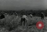 Standbild Vereinigten Staaten Marines Guadalcanal Salomonen, 1944, aus Sekunde 45 historischem Filmmaterial Videoclip 65675066966