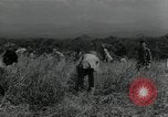 Standbild Vereinigten Staaten Marines Guadalcanal Salomonen, 1944, aus Sekunde 46 historischem Filmmaterial Videoclip 65675066966