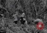 Standbild Vereinigten Staaten Marines Guadalcanal Salomonen, 1944, aus Sekunde 55 historischem Filmmaterial Videoclip 65675066966