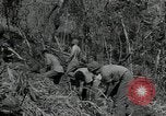 Standbild Vereinigten Staaten Marines Guadalcanal Salomonen, 1944, aus Sekunde 56 historischem Filmmaterial Videoclip 65675066966