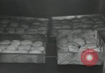 Image of United States Marines Guadalcanal Solomon Islands, 1944, second 59 stock footage video 65675066967