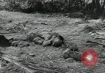 Immagine di Marines americani Guadalcanal nelle Isole Salomone, 1942, secondo 36 filmato di repertorio 65675066968