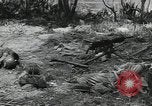 Immagine di Marines americani Guadalcanal nelle Isole Salomone, 1942, secondo 41 filmato di repertorio 65675066968