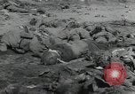 Immagine di Marines americani Guadalcanal nelle Isole Salomone, 1942, secondo 50 filmato di repertorio 65675066968