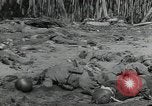 Immagine di Marines americani Guadalcanal nelle Isole Salomone, 1942, secondo 53 filmato di repertorio 65675066968