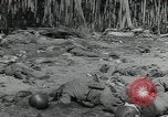 Immagine di Marines americani Guadalcanal nelle Isole Salomone, 1942, secondo 54 filmato di repertorio 65675066968