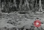 Immagine di Marines americani Guadalcanal nelle Isole Salomone, 1942, secondo 56 filmato di repertorio 65675066968