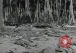 Immagine di Marines americani Guadalcanal nelle Isole Salomone, 1942, secondo 57 filmato di repertorio 65675066968