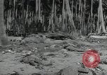 Immagine di Marines americani Guadalcanal nelle Isole Salomone, 1942, secondo 58 filmato di repertorio 65675066968