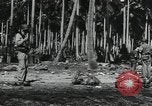 Immagine di Marines americani Guadalcanal nelle Isole Salomone, 1942, secondo 59 filmato di repertorio 65675066968