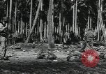 Immagine di Marines americani Guadalcanal nelle Isole Salomone, 1942, secondo 60 filmato di repertorio 65675066968