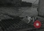 Image of United States Marines Guadalcanal Solomon Islands, 1944, second 39 stock footage video 65675066969