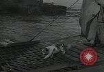 Image of United States Marines Guadalcanal Solomon Islands, 1944, second 40 stock footage video 65675066969