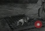 Image of United States Marines Guadalcanal Solomon Islands, 1944, second 41 stock footage video 65675066969
