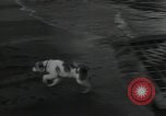 Image of United States Marines Guadalcanal Solomon Islands, 1944, second 42 stock footage video 65675066969