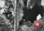 Image of Japanese soldiers Leyte Philippines, 1945, second 7 stock footage video 65675066972