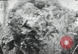 Image of Japanese soldiers Leyte Philippines, 1945, second 13 stock footage video 65675066972