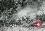 Image of Japanese soldiers Leyte Philippines, 1945, second 15 stock footage video 65675066972