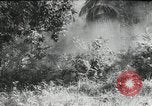 Image of Japanese soldiers Leyte Philippines, 1945, second 16 stock footage video 65675066972