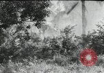 Image of Japanese soldiers Leyte Philippines, 1945, second 19 stock footage video 65675066972