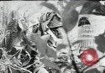 Image of Japanese soldiers Leyte Philippines, 1945, second 22 stock footage video 65675066972