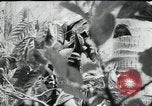 Image of Japanese soldiers Leyte Philippines, 1945, second 23 stock footage video 65675066972