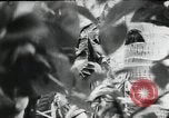 Image of Japanese soldiers Leyte Philippines, 1945, second 24 stock footage video 65675066972