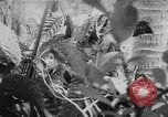 Image of Japanese soldiers Leyte Philippines, 1945, second 31 stock footage video 65675066972