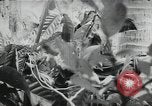 Image of Japanese soldiers Leyte Philippines, 1945, second 32 stock footage video 65675066972