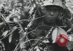 Image of Japanese soldiers Leyte Philippines, 1945, second 33 stock footage video 65675066972