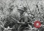 Image of Japanese soldiers Leyte Philippines, 1945, second 38 stock footage video 65675066972