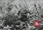 Image of Japanese soldiers Leyte Philippines, 1945, second 40 stock footage video 65675066972