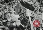 Image of Japanese soldiers Leyte Philippines, 1945, second 59 stock footage video 65675066972