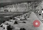 Image of Marine Corps recruits San Diego California USA, 1939, second 4 stock footage video 65675066976