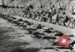Image of Marine Corps recruits San Diego California USA, 1939, second 19 stock footage video 65675066976