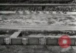 Image of Marine Corps recruits San Diego California USA, 1939, second 44 stock footage video 65675066976