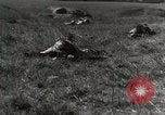 Standbild Marine Corps Rekruten San Diego California USA, 1939, aus Sekunde 10 historischem Filmmaterial Videoclip 65675066979