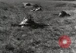 Standbild Marine Corps Rekruten San Diego California USA, 1939, aus Sekunde 11 historischem Filmmaterial Videoclip 65675066979