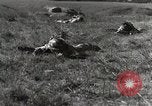 Standbild Marine Corps Rekruten San Diego California USA, 1939, aus Sekunde 12 historischem Filmmaterial Videoclip 65675066979
