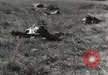 Standbild Marine Corps Rekruten San Diego California USA, 1939, aus Sekunde 14 historischem Filmmaterial Videoclip 65675066979