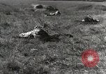 Standbild Marine Corps Rekruten San Diego California USA, 1939, aus Sekunde 16 historischem Filmmaterial Videoclip 65675066979