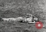 Standbild Marine Corps Rekruten San Diego California USA, 1939, aus Sekunde 20 historischem Filmmaterial Videoclip 65675066979
