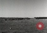 Standbild Marine Corps Rekruten San Diego California USA, 1939, aus Sekunde 43 historischem Filmmaterial Videoclip 65675066979