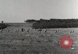 Standbild Marine Corps Rekruten San Diego California USA, 1939, aus Sekunde 47 historischem Filmmaterial Videoclip 65675066979