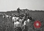 Image récolteuse de coton Stoneville Mississippi USA, 1936, de la seconde 17 séquences d'archives historiques vidéo 65675066983