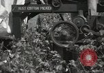 Image récolteuse de coton Stoneville Mississippi USA, 1936, de la seconde 35 séquences d'archives historiques vidéo 65675066983