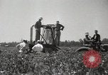 Image récolteuse de coton Stoneville Mississippi USA, 1936, de la seconde 40 séquences d'archives historiques vidéo 65675066983